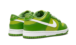 dunk-low-chlorophyll-aplug-pl