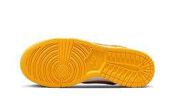 dunk-low-citron-pulse-aplug-pl