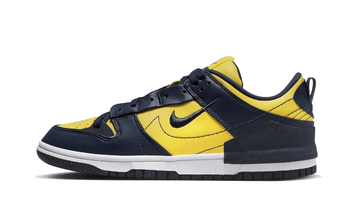 dunk-low-disrupt-2-michigan-aplug-pl