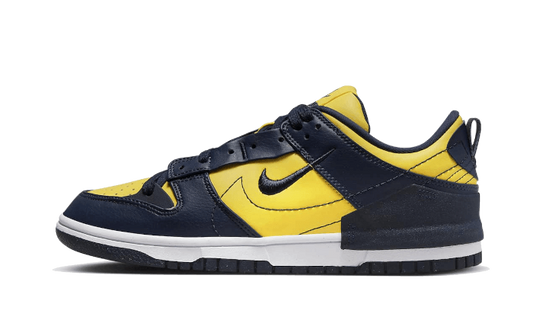 dunk-low-disrupt-2-michigan-aplug-pl