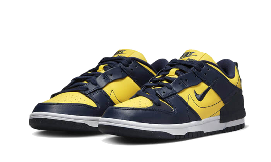 dunk-low-disrupt-2-michigan-aplug-pl