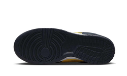 dunk-low-disrupt-2-michigan-aplug-pl