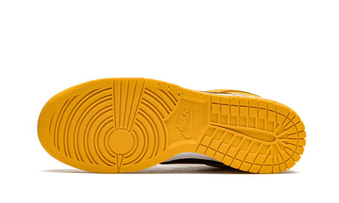 dunk-low-goldenrod-aplug-pl