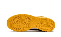 dunk-low-goldenrod-aplug-pl