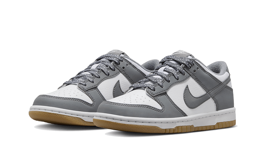 dunk-low-reflective-grey-aplug-pl