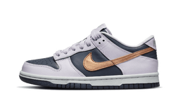 dunk-low-se-copper-swoosh-aplug-pl