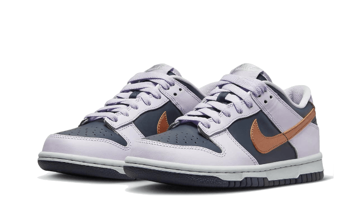 dunk-low-se-copper-swoosh-aplug-pl