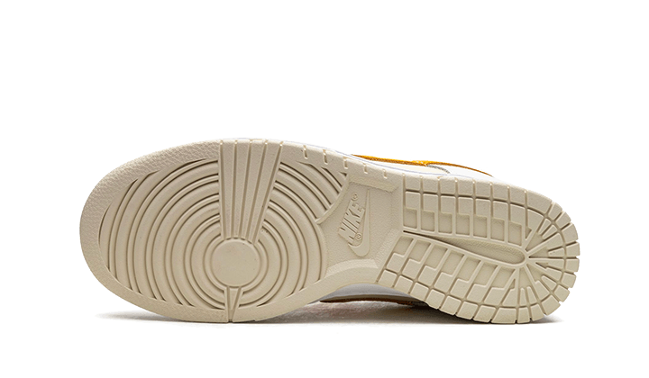 dunk-low-sundial-aplug-pl