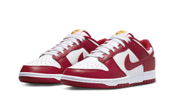 dunk-low-usc-aplug-pl