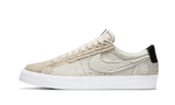 Medicom Toy x Nike SB Blazer Low (2020) - Aplug