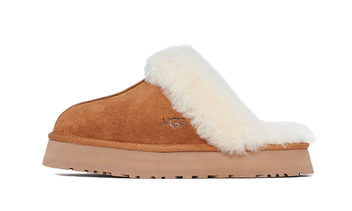 disquette-slipper-chestnut-aplug-pl